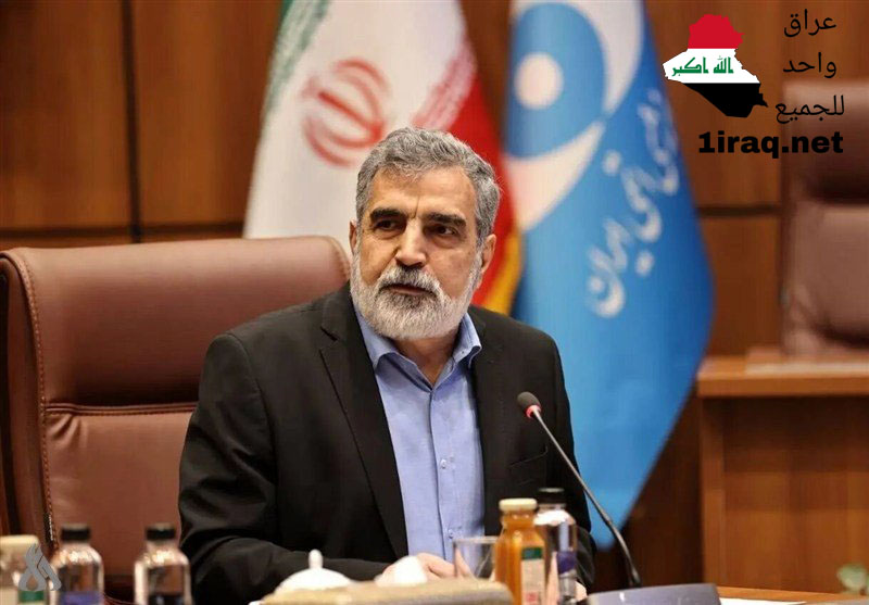 إيران تعتزم بناء محطات نووية جديدة في جنوب البلاد